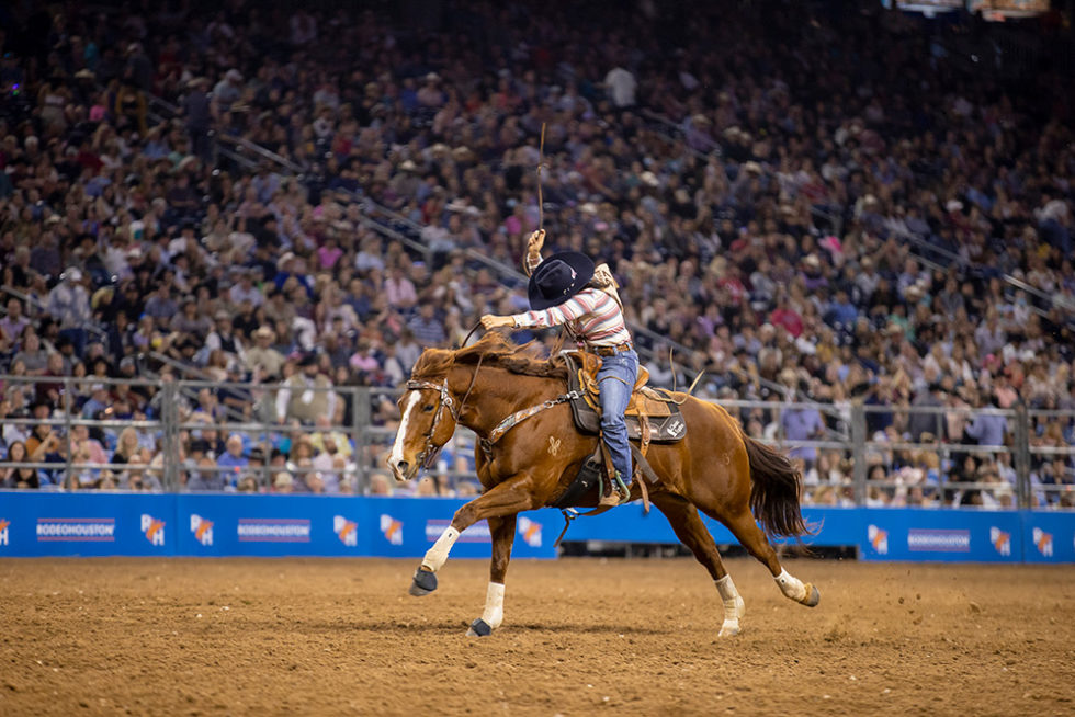 NFR 2022-Justin Briggs’ Rollo Wins Second Straight Nutrena Horse of the ...