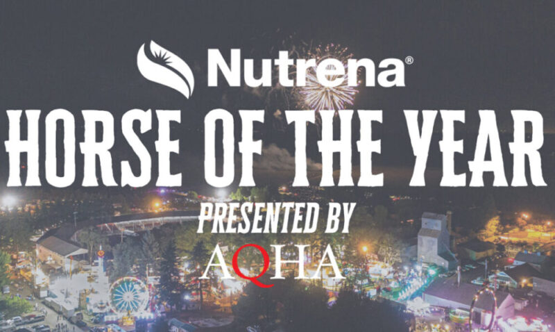 HORSE OF THE YEAR WEB GRAPHIC_resized