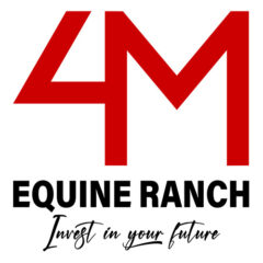 logo-4m