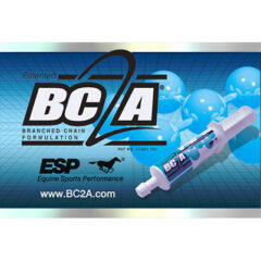 logo-bc2a-01