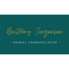 logo-brittany-j