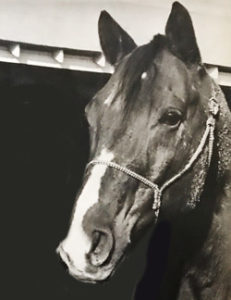 Star Plaudit “Red” A Horse Like No Other | WPRA